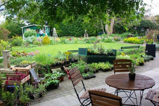 Garden Cafe at Restore